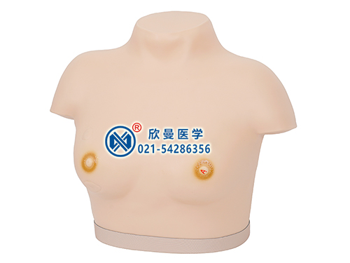 高级乳腺视诊与触诊模型,乳腺检查模型