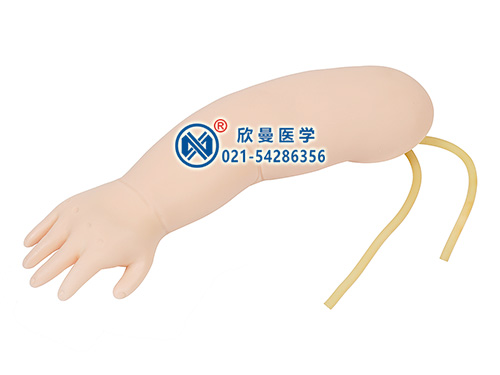 高级婴儿静脉穿刺手臂模型,小儿静脉穿刺手臂模型
